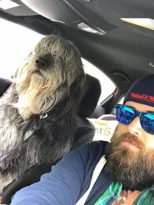 狼狗最新爆料网站,揭秘娱乐圈不为人知的秘密  第1张